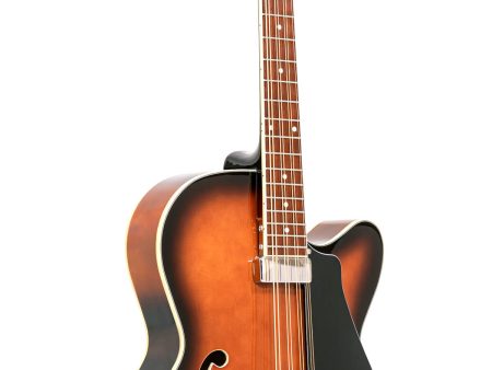 Gold Tone Mandocello: Mandocello with Pickup and Case Online