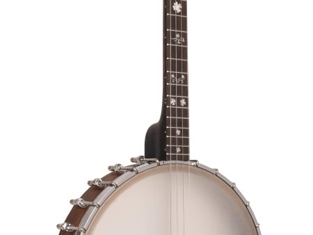 Gold Tone IT-17 Irish Tenor Banjo with 17 Frets and Gig Bag Sale