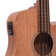 Gold Tone M-Bass25FL 25-Inch Scale Fretless Acoustic-Electric MicroBass with Gig Bag on Sale