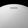 Evans 14  Snare Batter Genera Dry Online Hot Sale