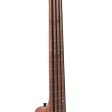 Gold Tone M-Bass25FL 25-Inch Scale Fretless Acoustic-Electric MicroBass with Gig Bag on Sale