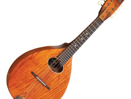 Vintage Gordon Giltrap D-Day Mandolin Online