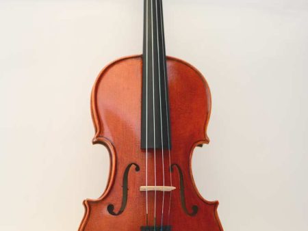 Stentor 25th Anniversary Violin Full size (4 4) Outfit Cheap