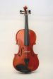 Stentor 25th Anniversary Violin Full size (4 4) Outfit Cheap